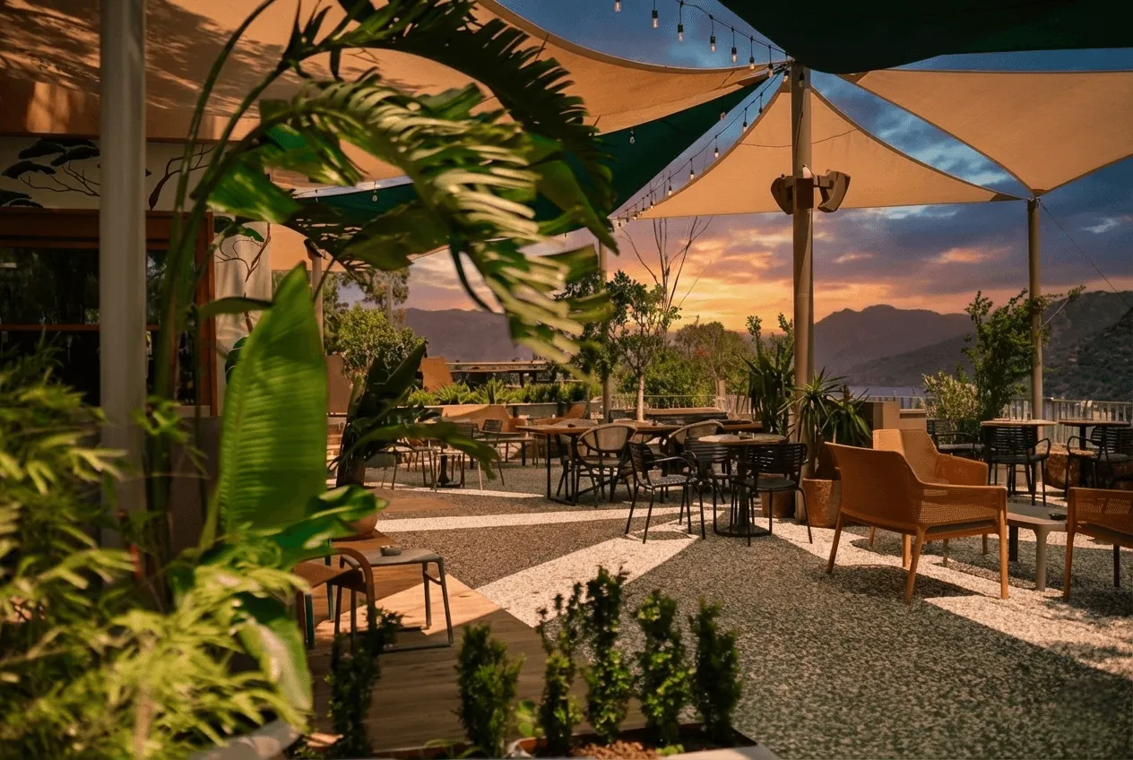 Fredonia Cafe projesi