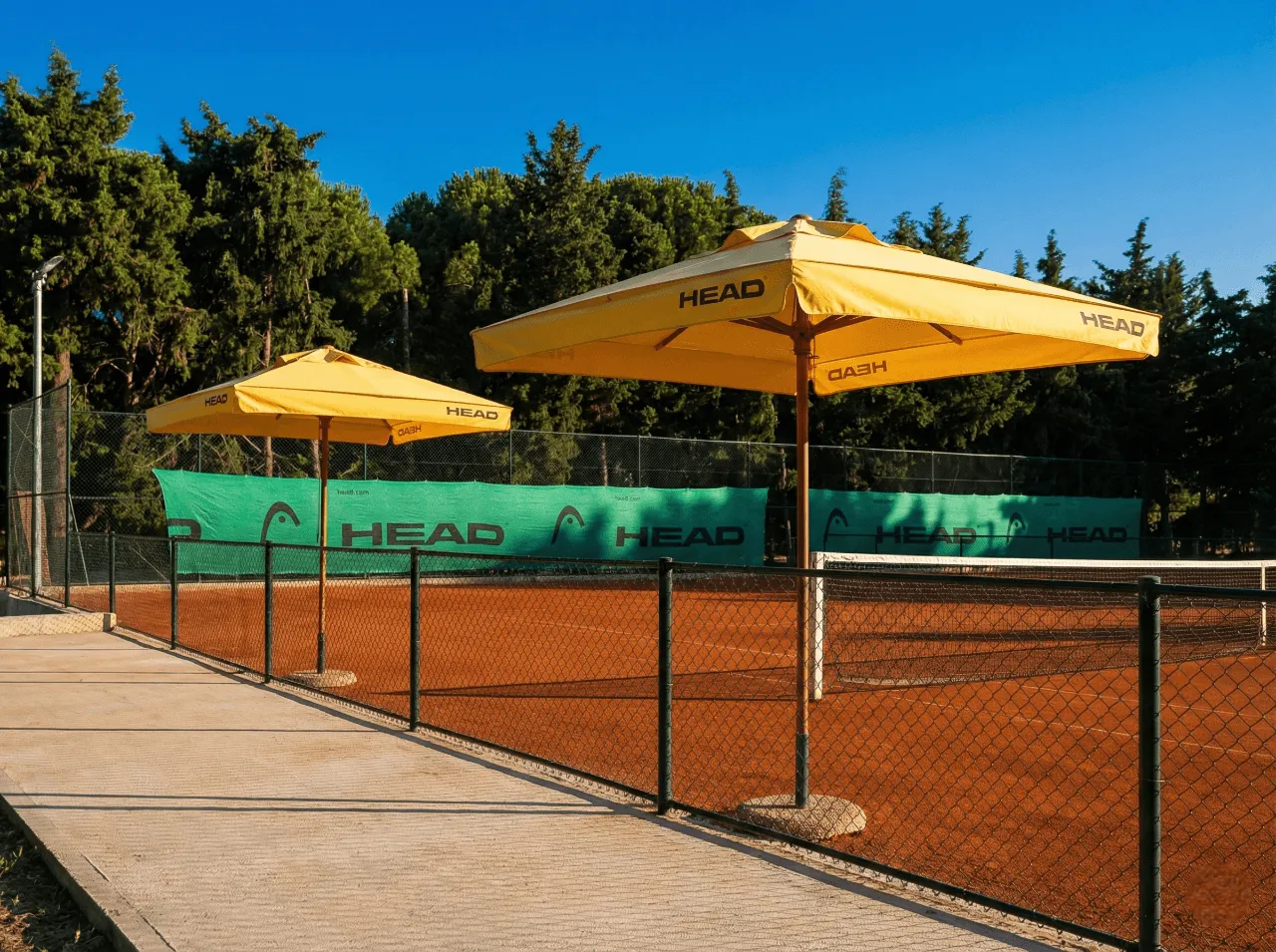 Olive Farm projesi