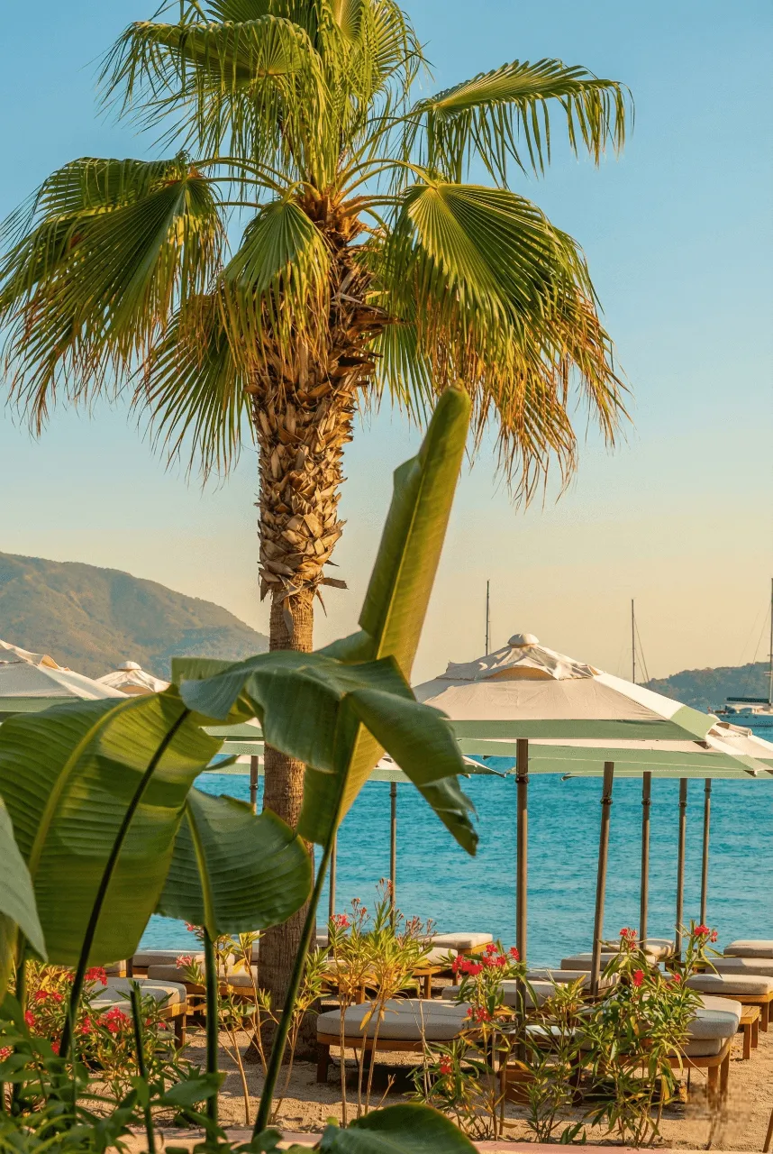 Aida Beach — görsel 4
