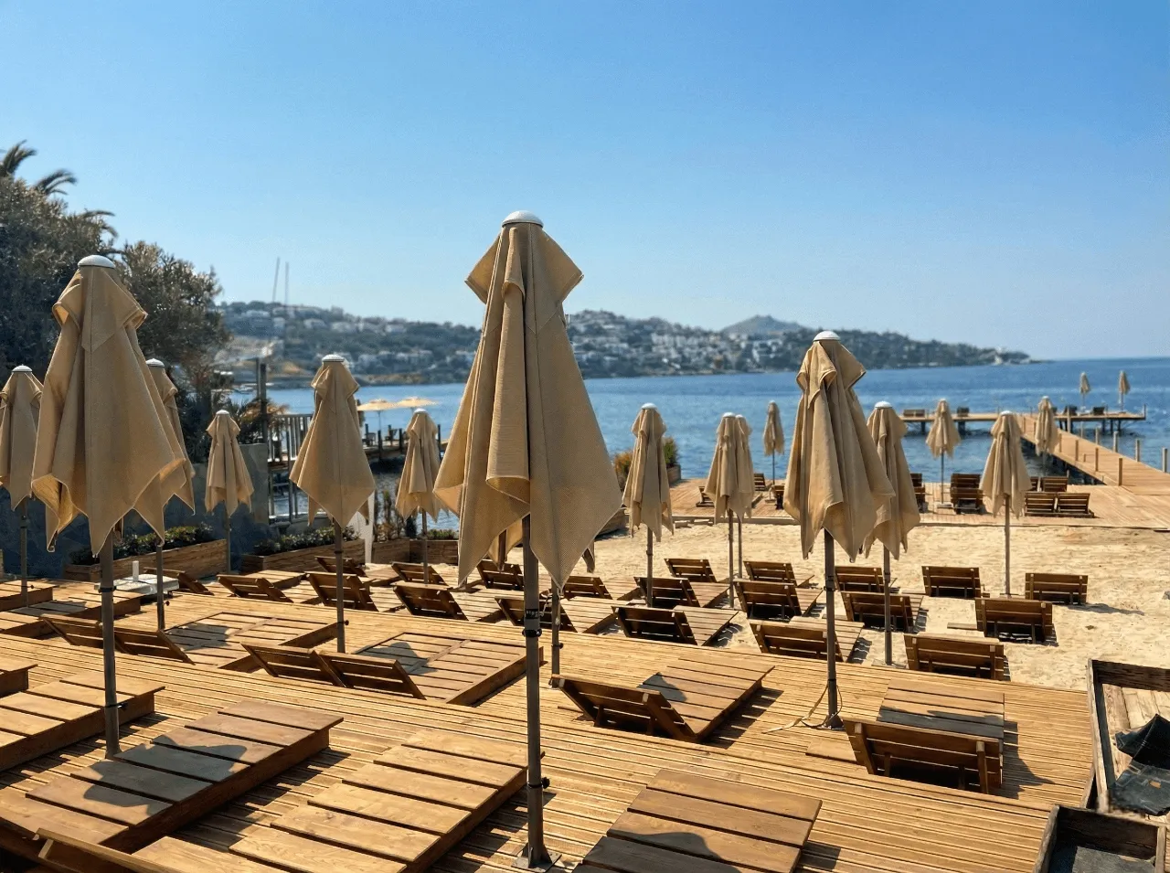 Cactus Beach projesi
