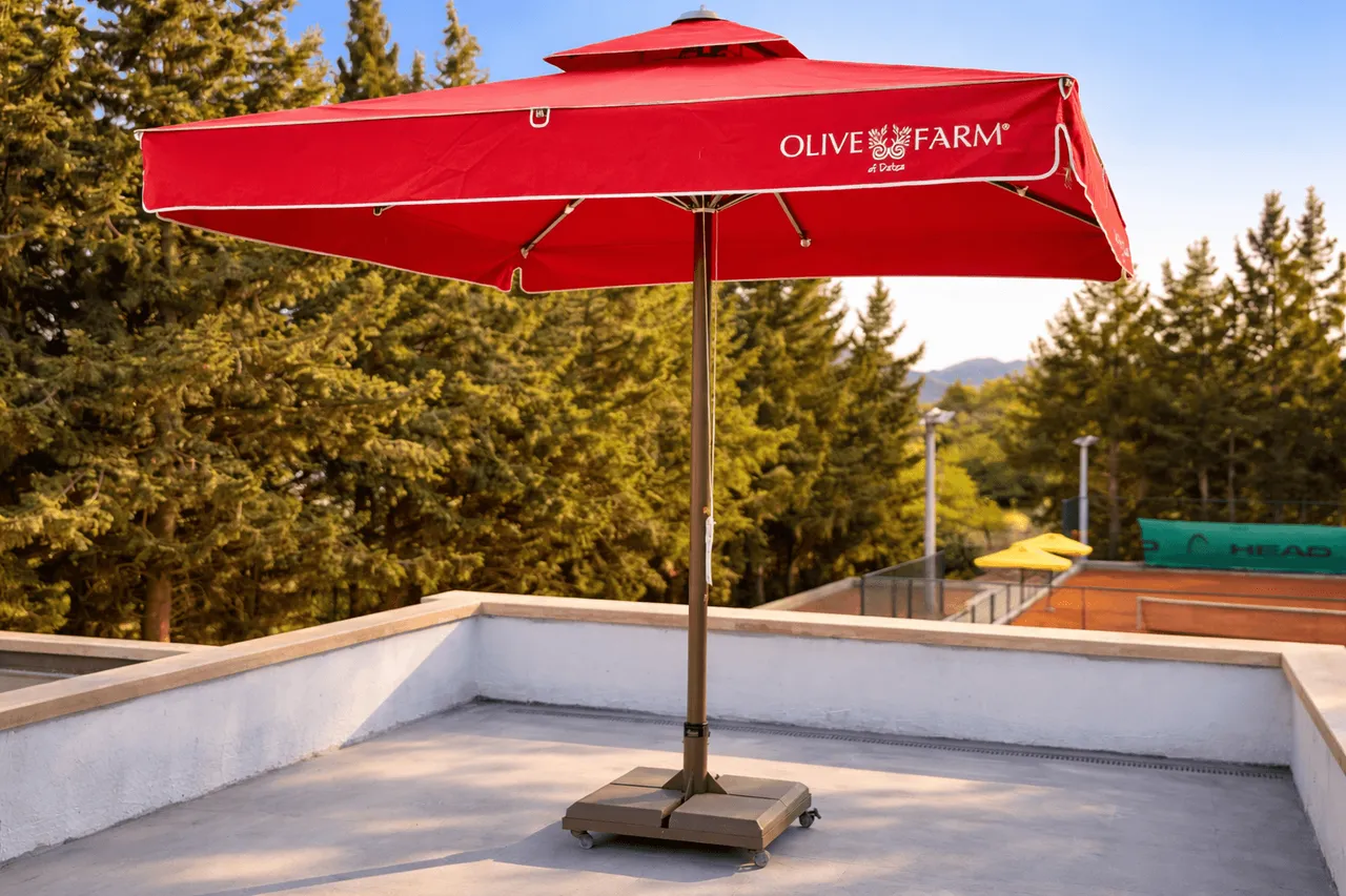 Olive Farm — görsel 2