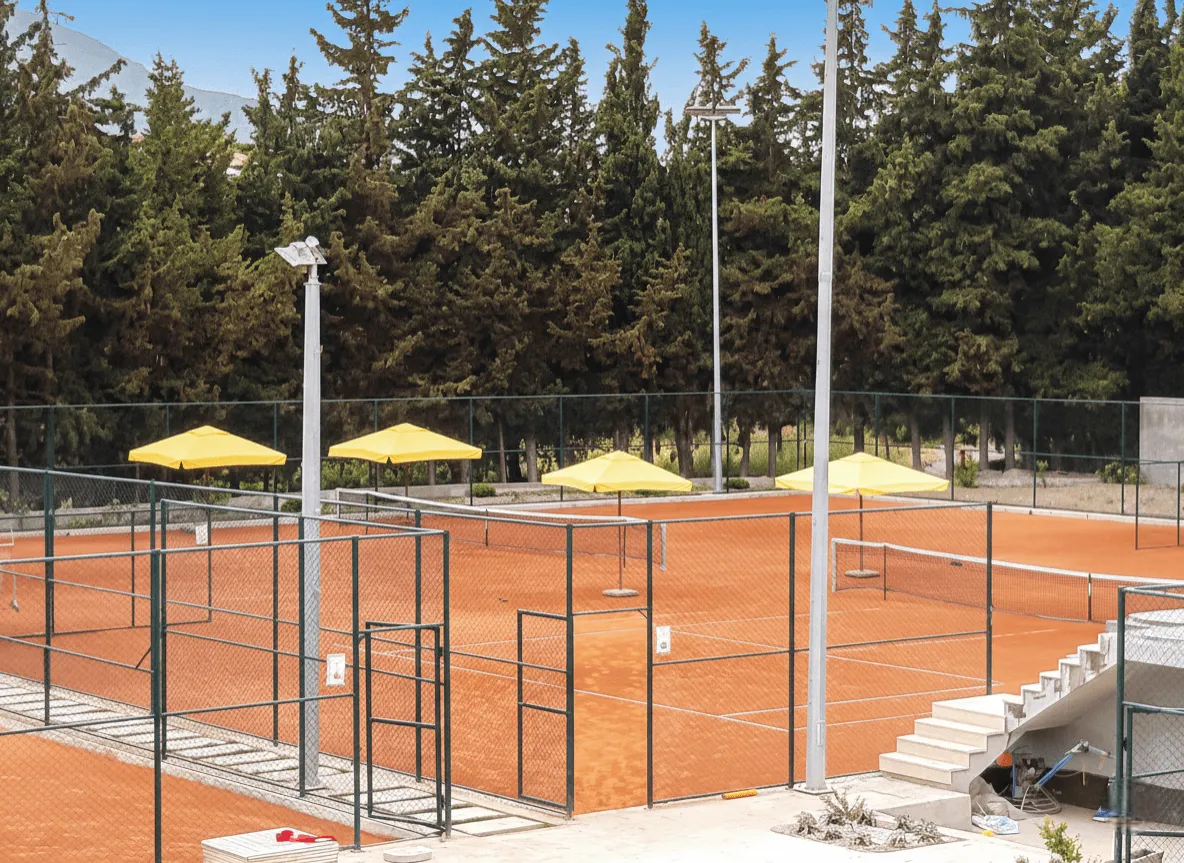 Olive Farm — görsel 3