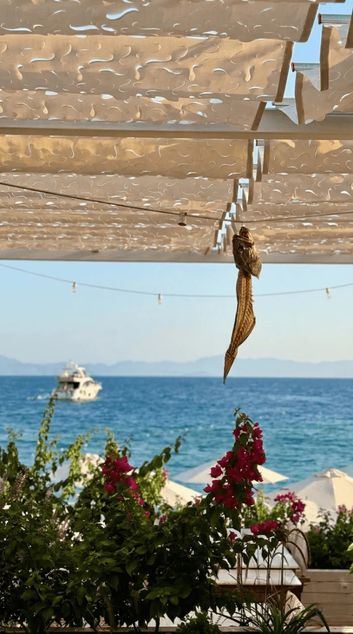 So Beach Club — görsel 3