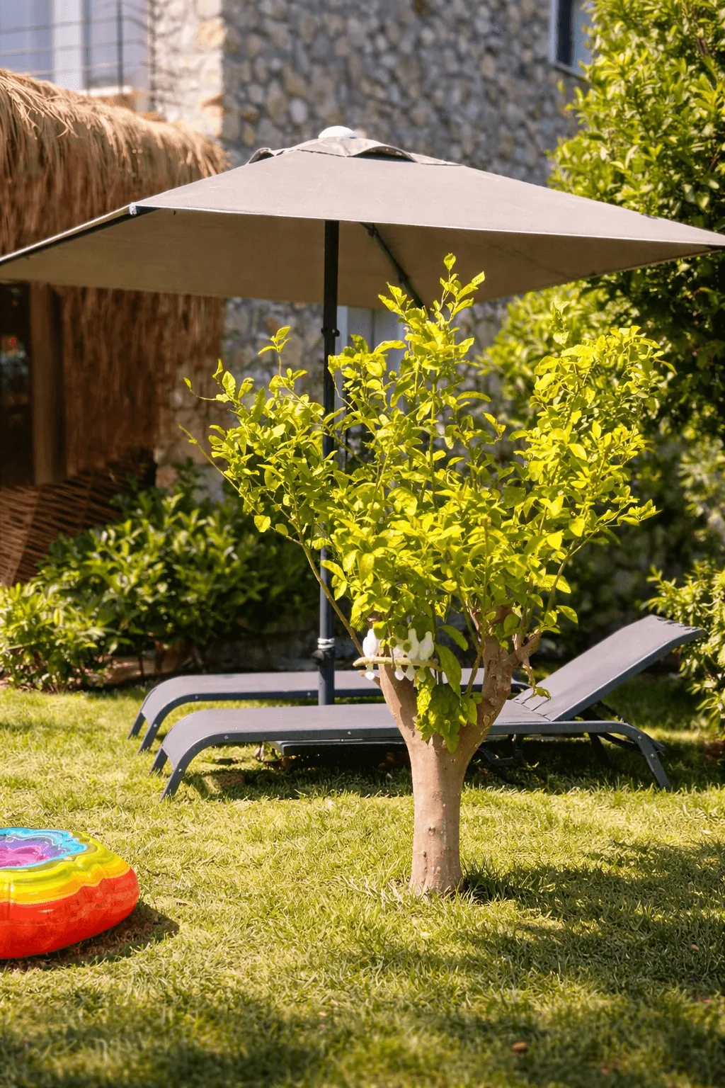 Sasamaari Suites projesi