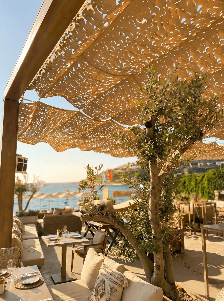 Cactus Beach projesi