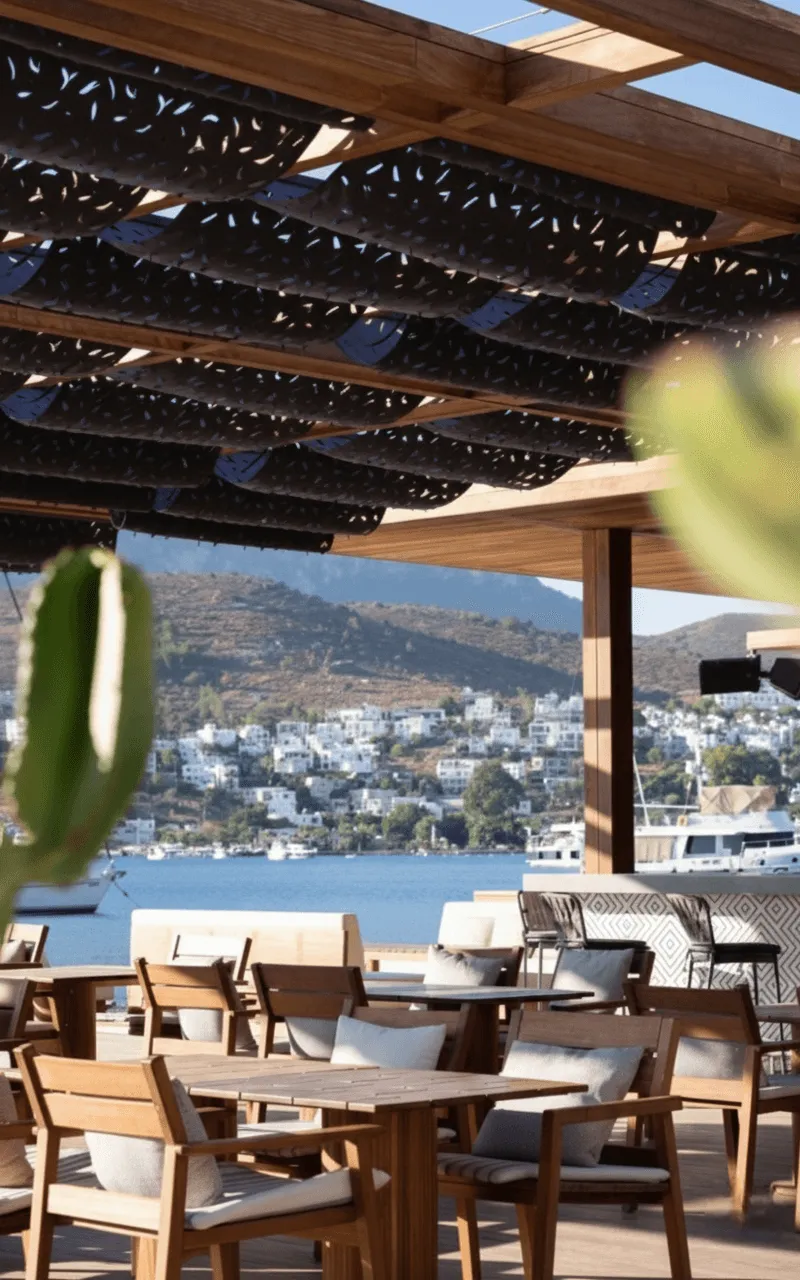No81 projesi