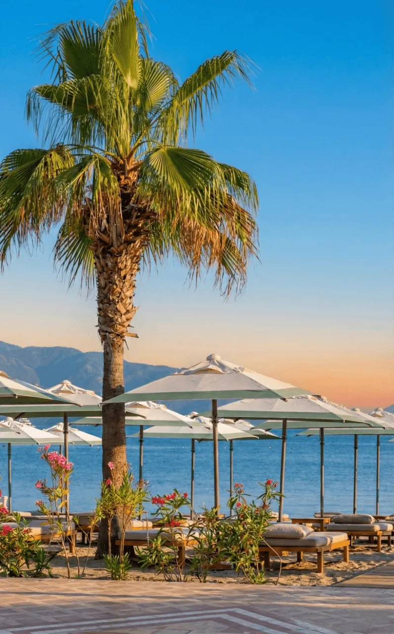 Aida Beach — görsel 6
